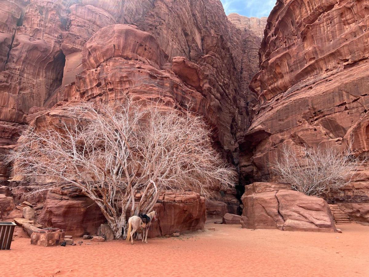 Hotel Golden Day Wadi Rum Zewnętrze zdjęcie