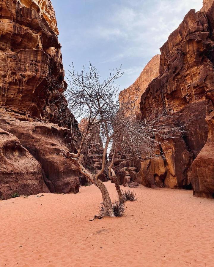 Hotel Golden Day Wadi Rum Zewnętrze zdjęcie