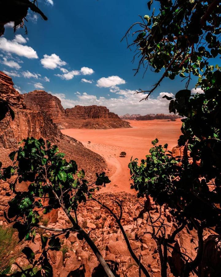 Hotel Golden Day Wadi Rum Zewnętrze zdjęcie